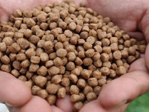 Fish feed market assessment.