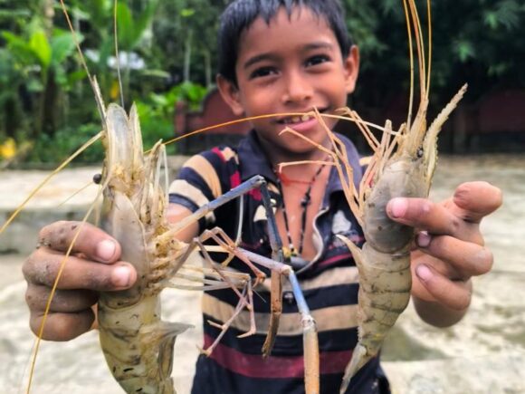 Baseline study for Income Generation of Entrepreneurs of Flood Plain Area through Prawn PL Production and Prawn Mixed Culture Extension titled value chain sub-project under PACE project.