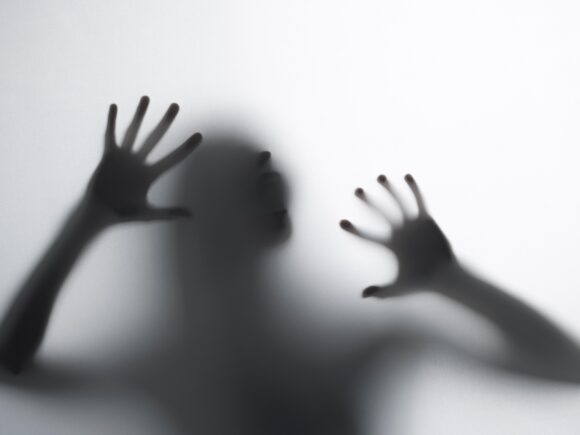 Module Development for Training of the psycho-social support groups for Preventing Extremism through Active Community Engagement (PEACE) Consortium.