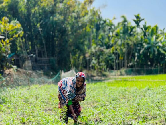 Baseline survey of DFAT funded Gender Inclusive Pathways Out of Poverty (GPOP) for vulnerable household of Cox’s Bazar.