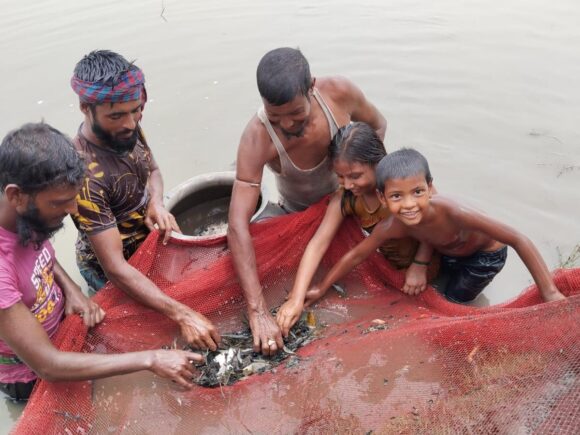 Study to Determine “Common Service Activities, Technological and Environmental Interventions Requirement for Aquaculture and Fish Hatchery Sub sector”.