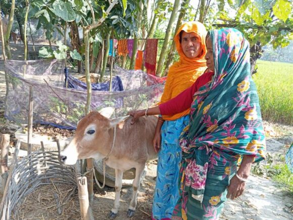 “Impact Evaluation of USAID-funded initiative”.