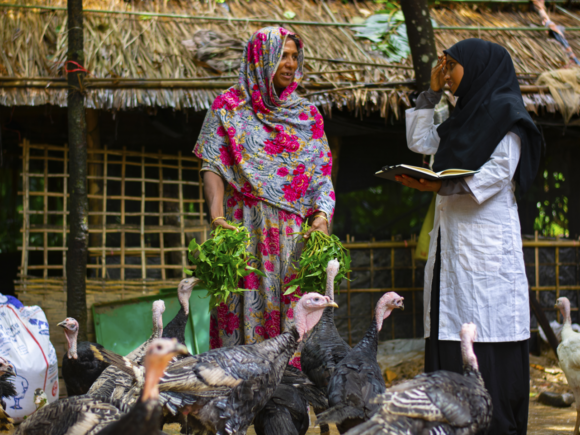 Final Evaluation of BHA-2006 project FSL and DRR activities in Cox’s Bazar and Bandarban Districts.